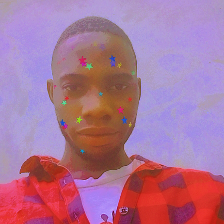 album cover image