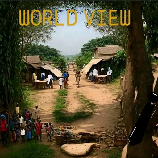 WORLD VIEW cover image