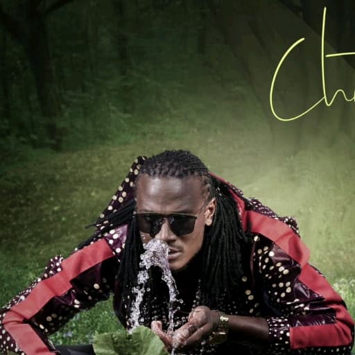 song cover image