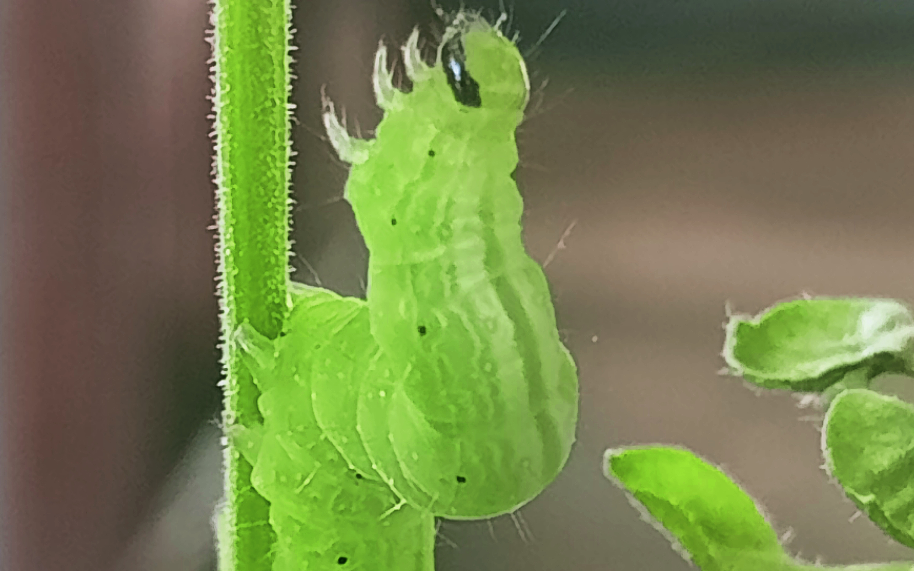user cover image