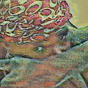 user profile image